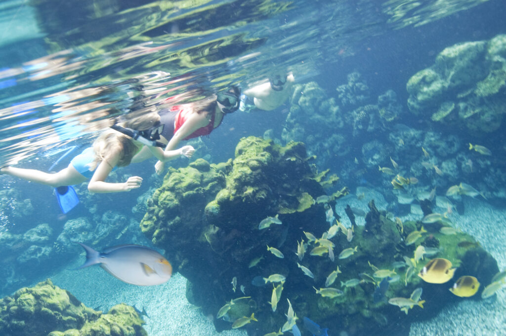 Aulani - snorkeling in Rainbow Reef