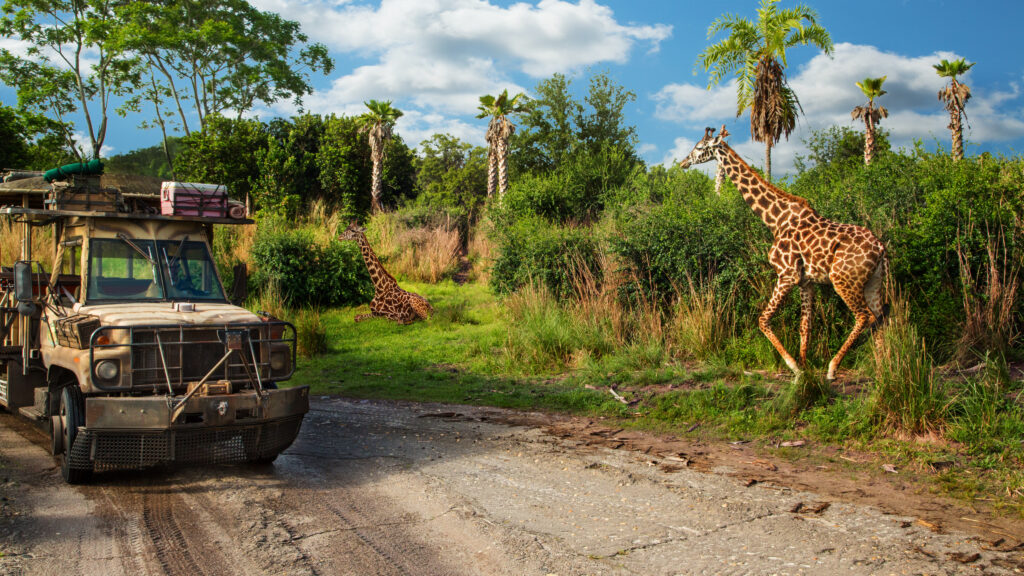 Animal Kingdom - Kilimanjaro Safaris