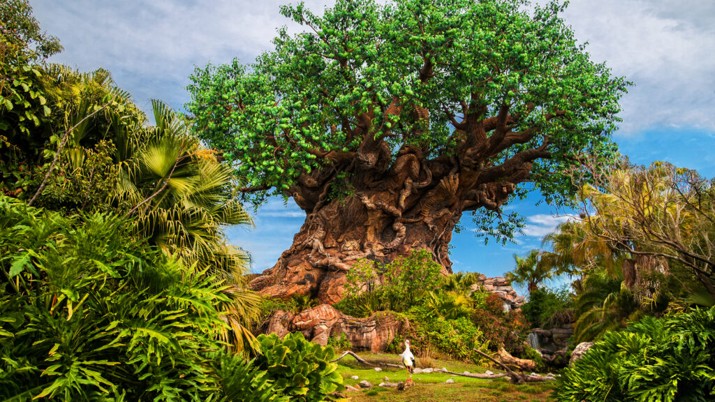 Animal Kingdom - Tree of Life