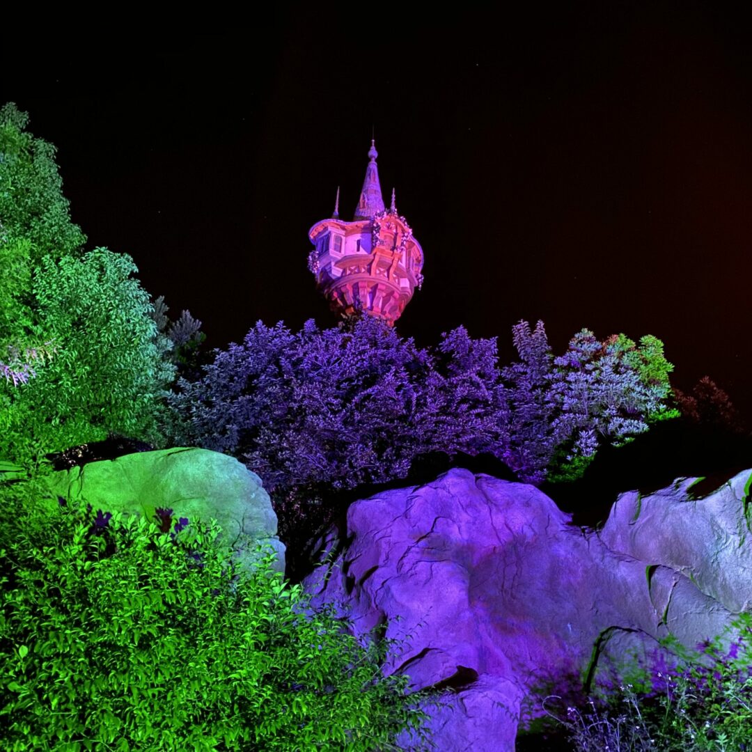 Rapunzel's Tower After Hours